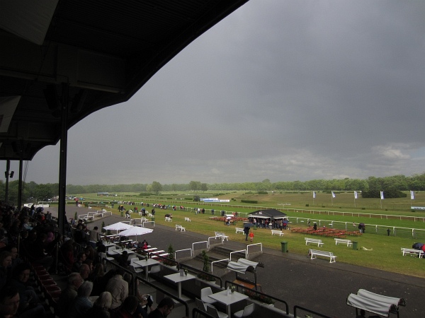 Bult VGH2011   129.jpg
